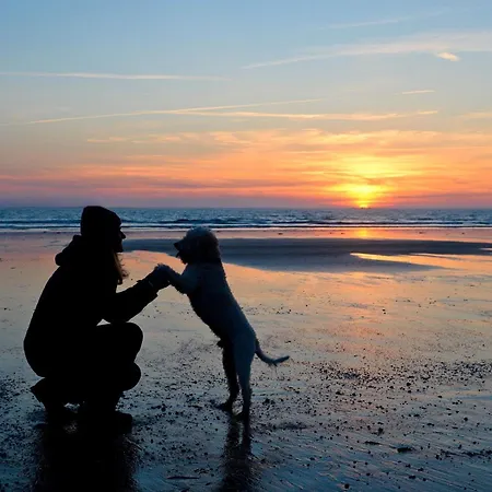 شقة Deichgraf 27-11 *